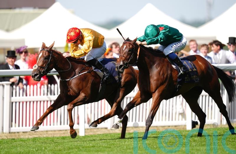 Cercene upstages Zarigana in Coronation Stakes