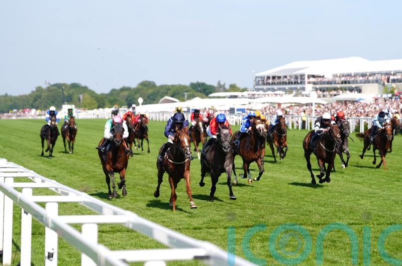 Ascot Eyecatcher Cajole will make persuasive case next time