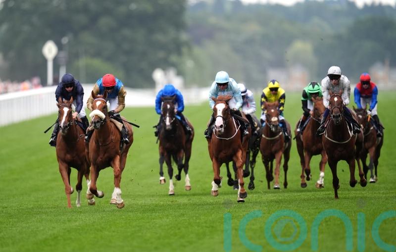 Thesecretadversary is one to keep on side for future runs