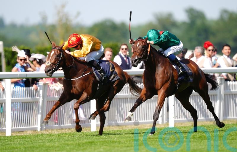 Summer break for Zarigana before plans for rest of the year are made