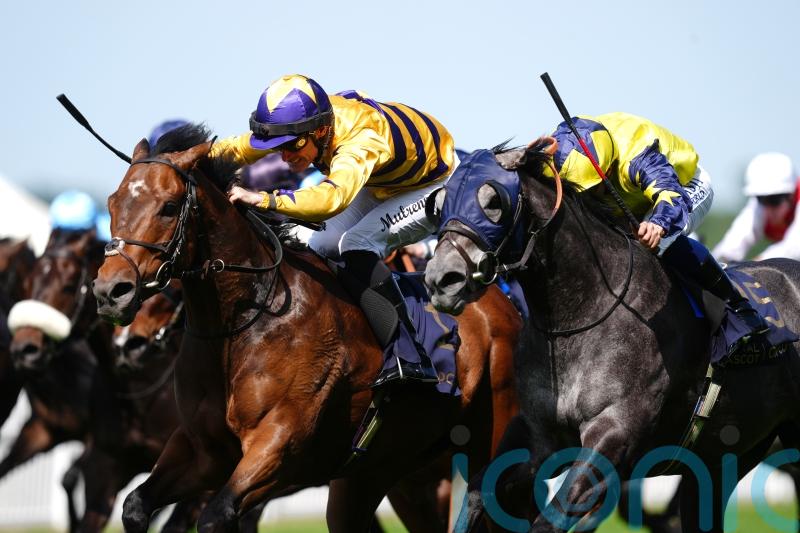 Frost At Dawn has Breeders&rsquo; Cup as big end-of-season target