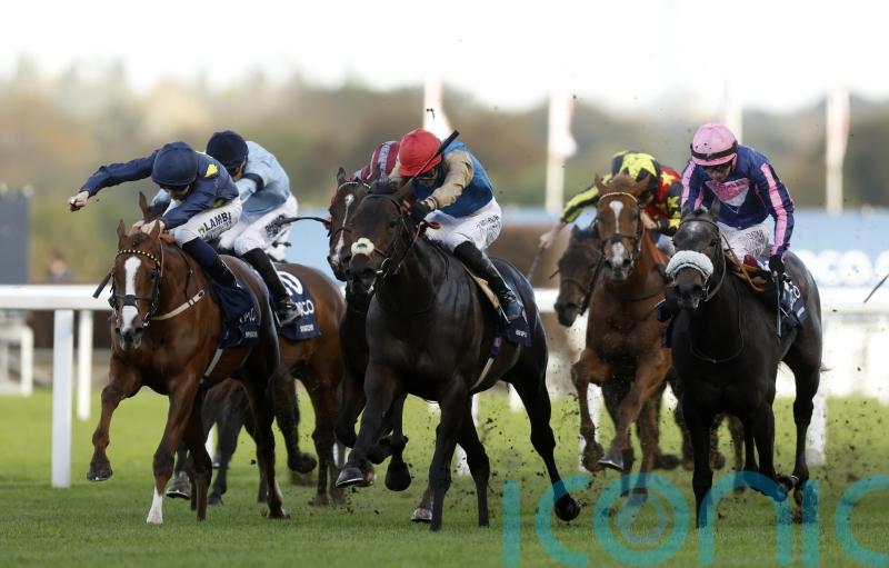 Kind Of Blue on retrieval mission in Chipchase