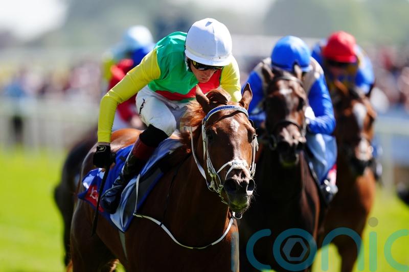 Sandown not in Chapple-Hyam&rsquo;s plans for Kon Tiki