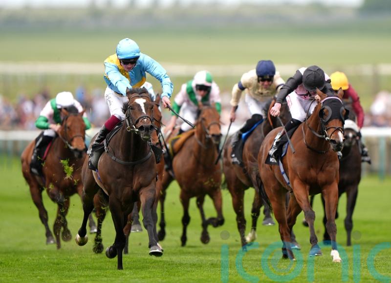 Davison backing She&rsquo;s Quality to Charge to Sandown glory