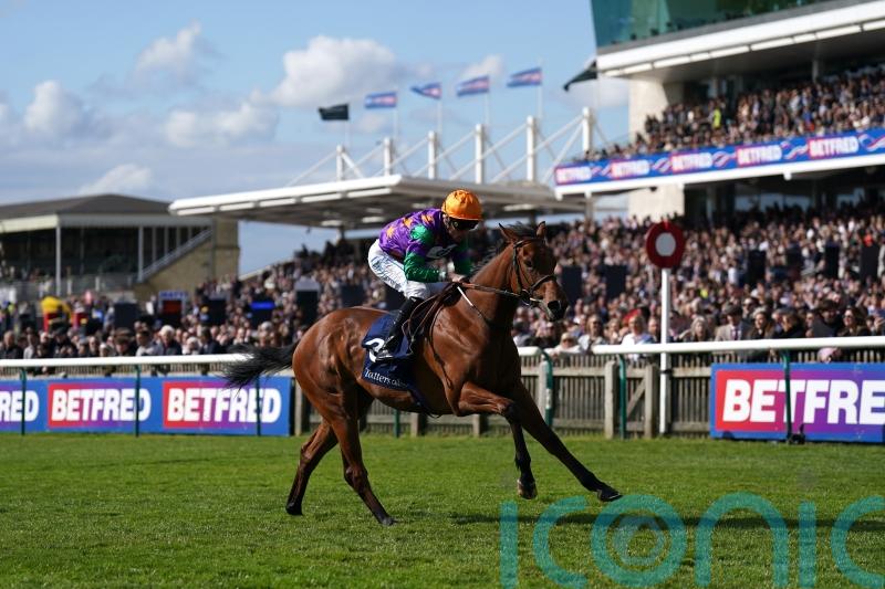 Bell banking on Spicy Marg proving too hot to handle