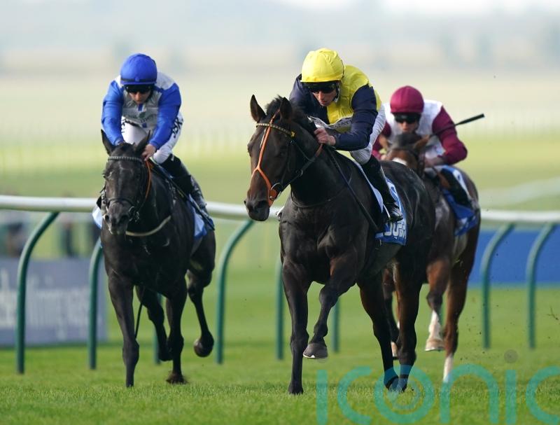 Pontefract repeat could be next on Point Lynas&rsquo; agenda