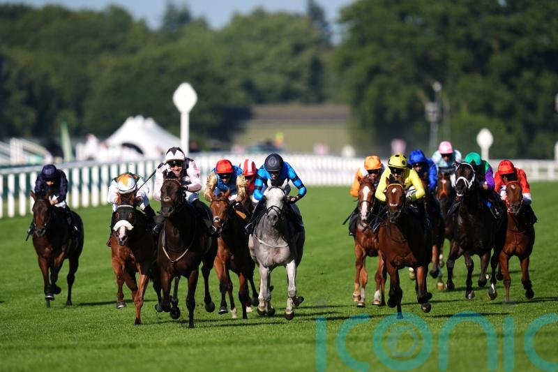 Super Sprint temptation for Johnson Houghton with Havana Hurricane