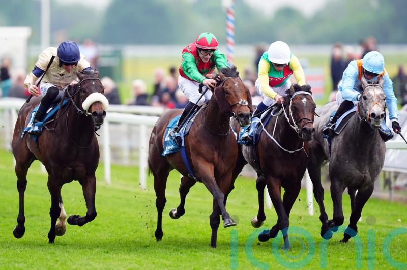 Weather might prove key to Diligent Harry&rsquo;s bid for third time lucky