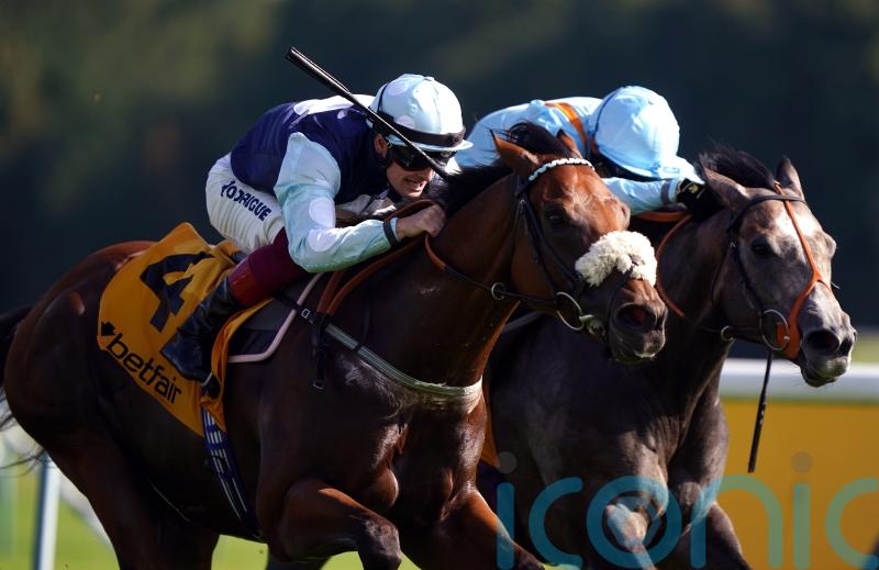 Bethell hoping Regional outlook is favourable in Hackwood Stakes