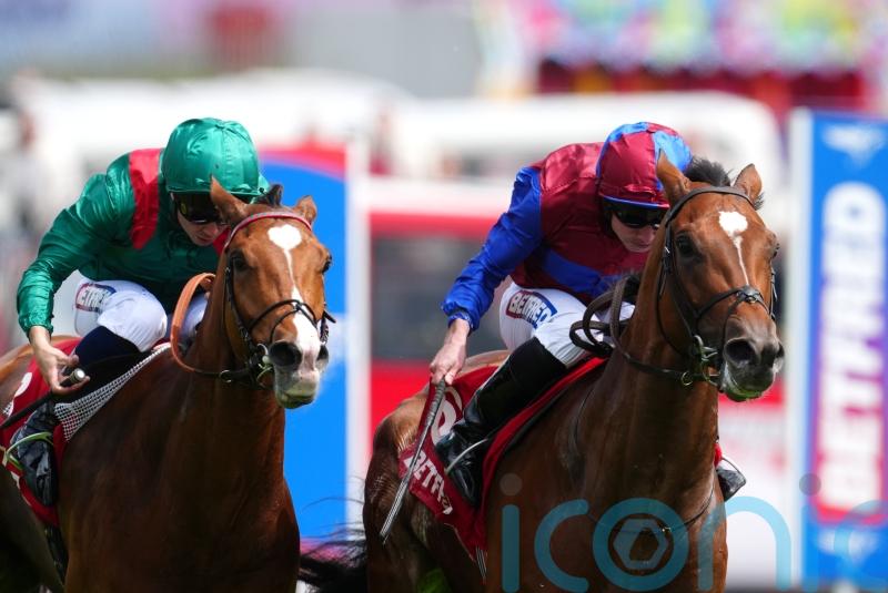 Jan Brueghel poised to be the Ballydoyle big gun in the King George