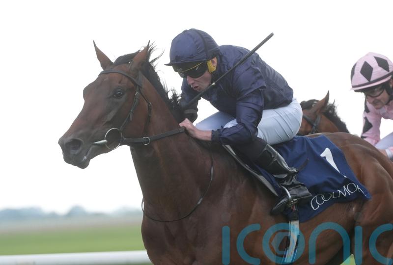 Henri Matisse ready to renew Field Of Gold rivalry at Goodwood