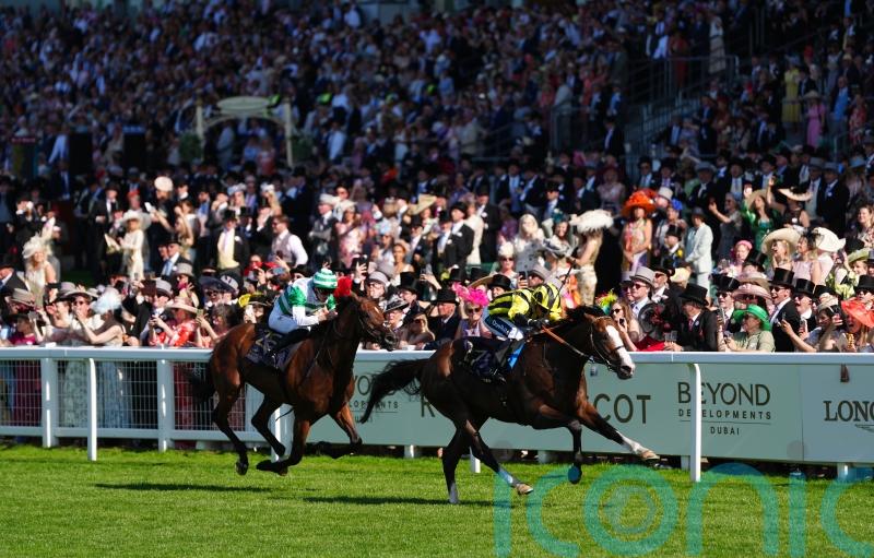 Goodwood and Deauville under consideration for My Cloud