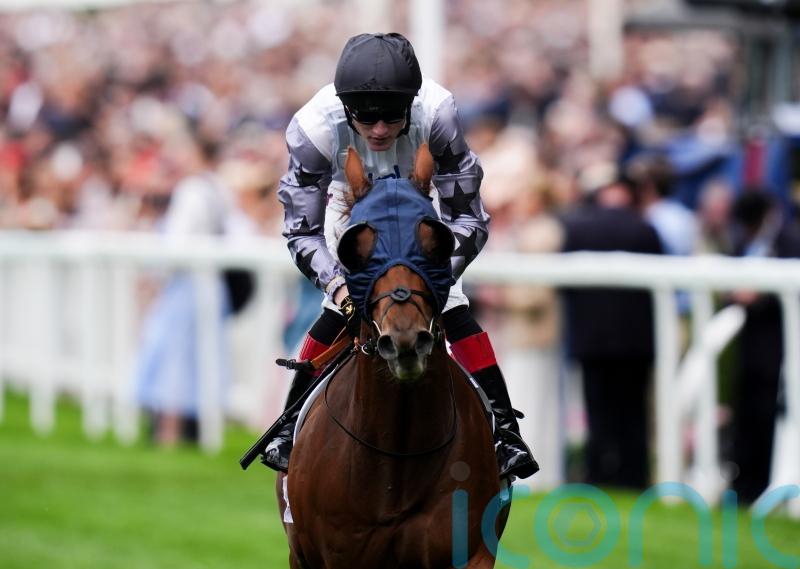 Two Tribes tops the charts in Classic battle for International prize