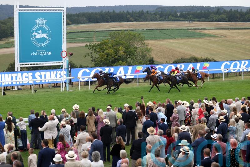 Galaxy gets Goodwood Eyecatcher honours