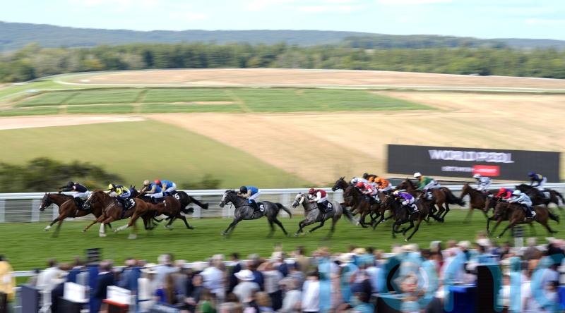 Five jockeys involved in light aircraft drama