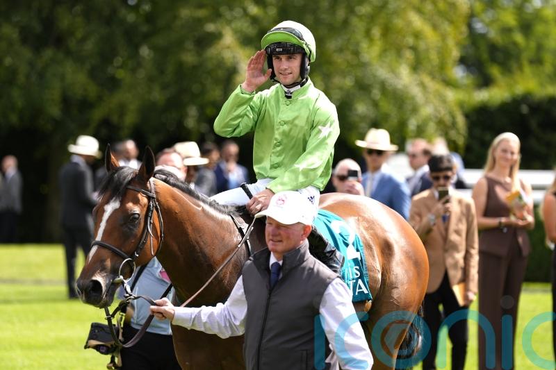 Jm Jungle surprises King George rivals