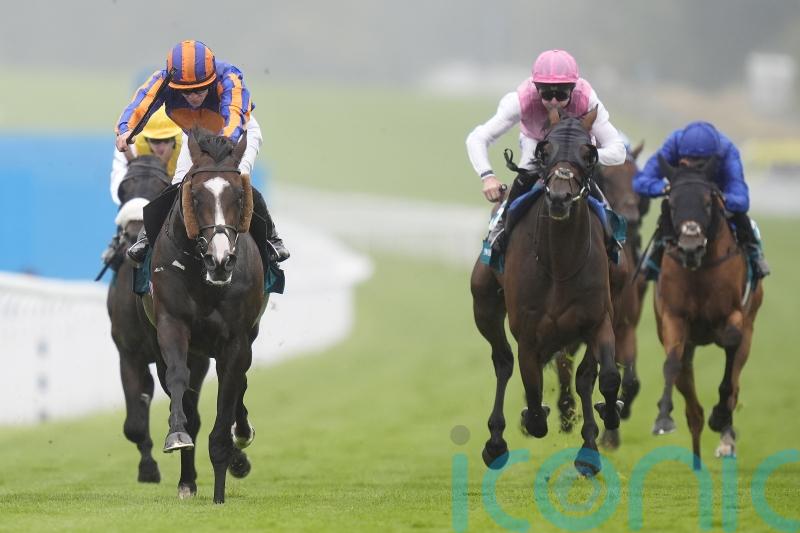 Scandinavia and Lambourn lead 26 St Leger hopefuls