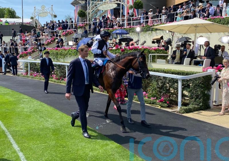 Arlington Million trip with Cairo has Haynes in dreamland