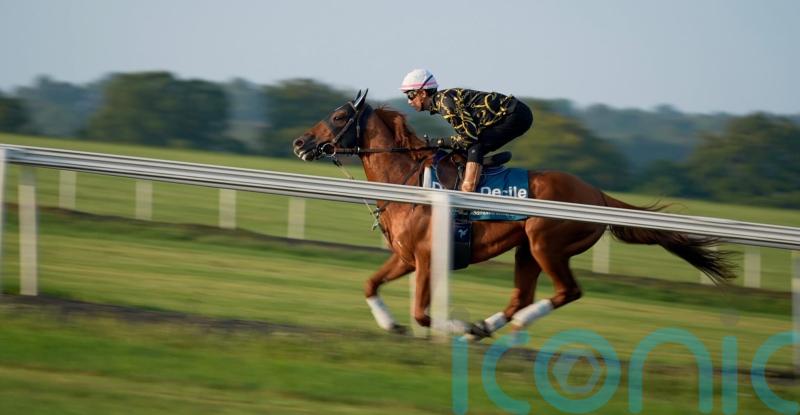 International challenger Danon Decile enjoys gallops spin