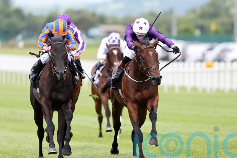 Arizona Blaze ready to light up York for Murray team