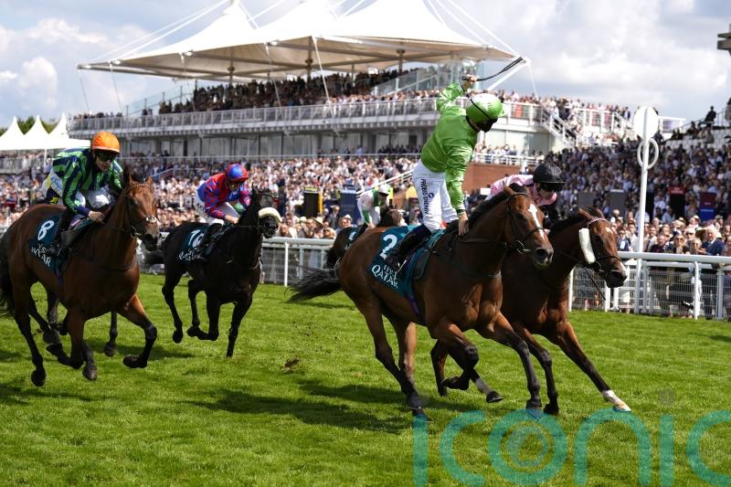 Jm Jungle pleases in final gallop ahead of Nunthorpe