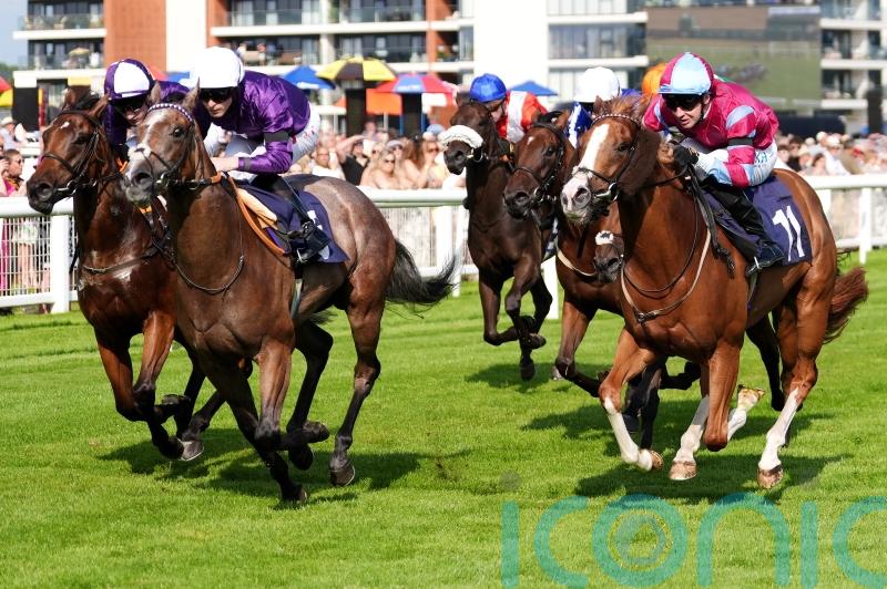 Hollywoood Treasure takes starring role at Newbury