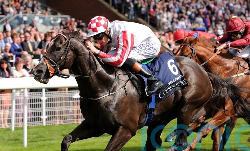 Richard Hughes no stranger to Nunthorpe success as he readies Sayidah Dariyan