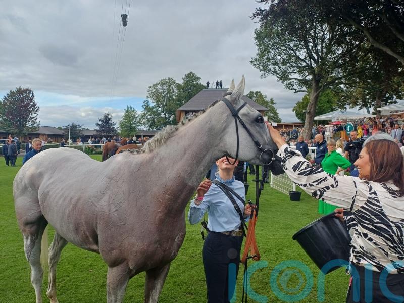 Estrange keeps Arc hopes afloat with Yorkshire Oaks run