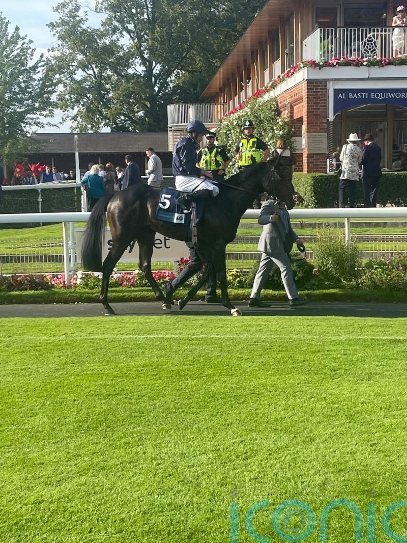 Frescobaldi helps Ryan Moore reach century of York winners