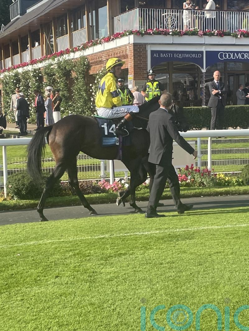 York Eyecatcher Spyce can add plenty of interest going forward