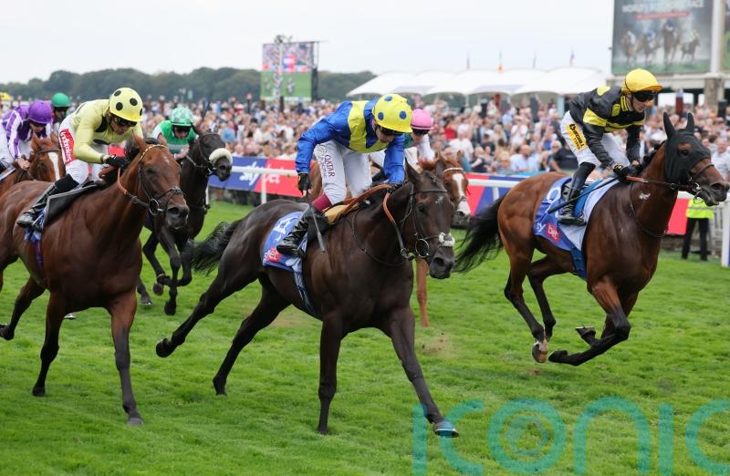 Never So Brave hits Group One target in City of York