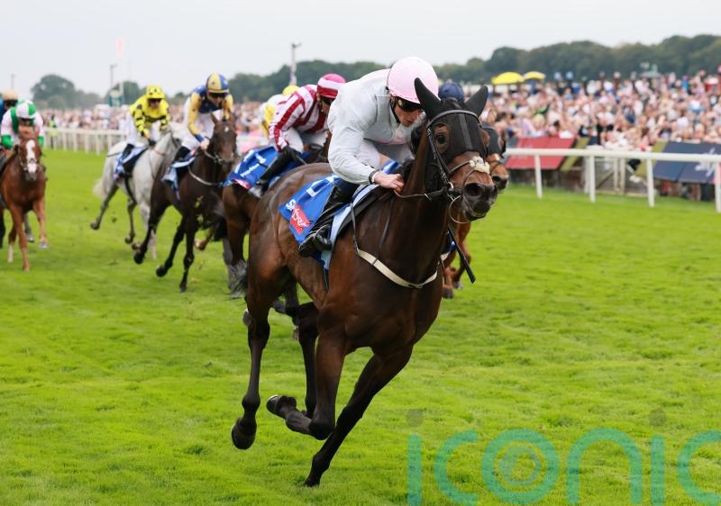 Ethical Diamond sparkles with decisive Ebor strike