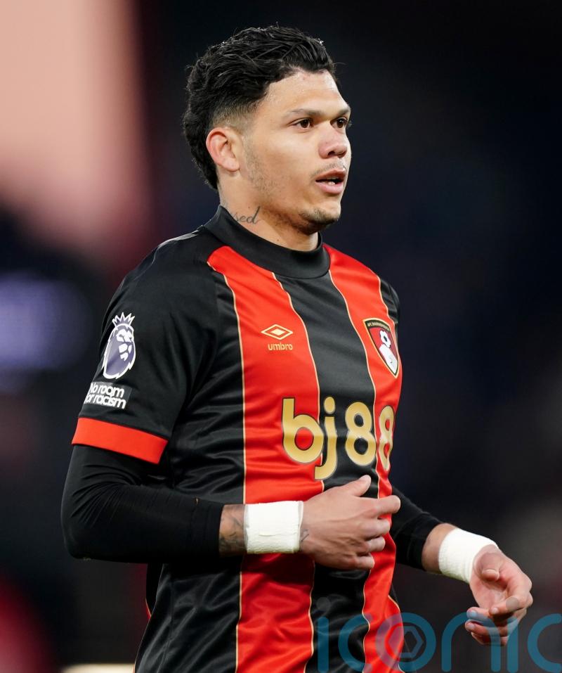 Bournemouth bring Tottenham back down to earth as Evanilson secures win