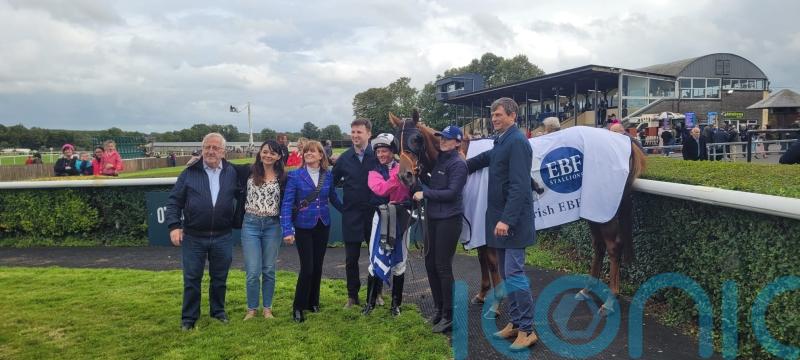 Grand Marques the ace in Abergwaun pack