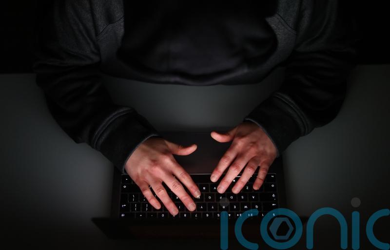 Many election candidates experienced negative online behaviour, survey shows