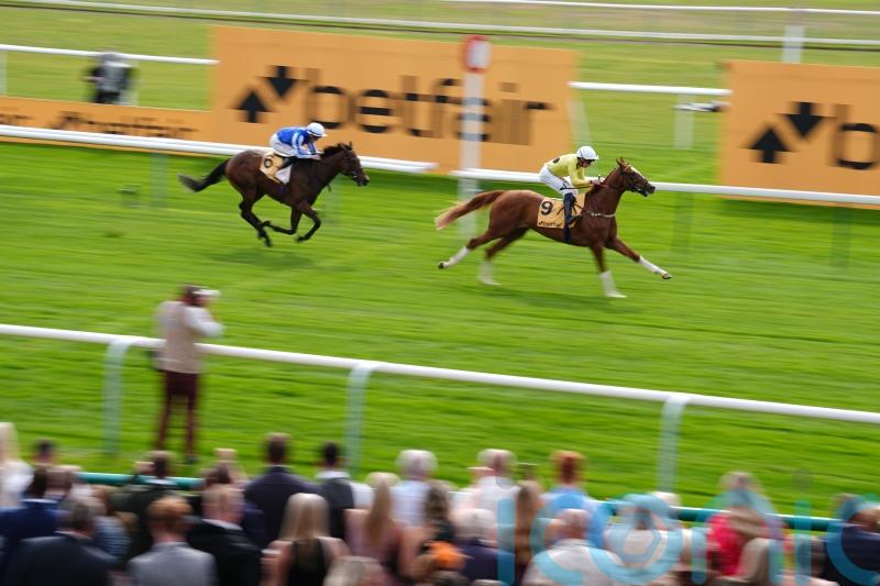 Zeus Olympios proves Superior to Haydock rivals