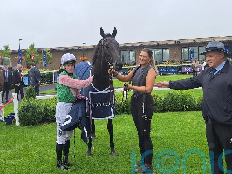 New owners for &lsquo;extremely exciting&rsquo; Willie Mullins two-year-old