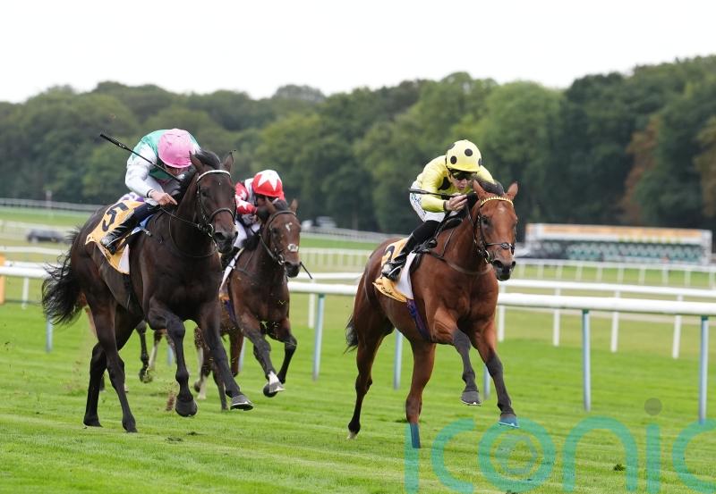 George Boughey reveals exciting targets for star two-year-olds