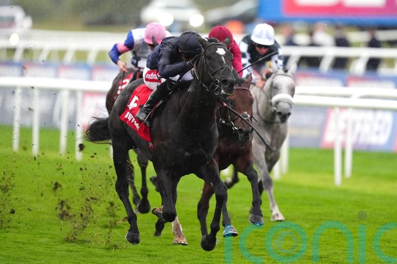 Puerto Rico loses maiden tag in Champagne Stakes