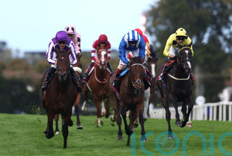 &lsquo;Big tiger&rsquo; Delacroix delivers another Irish Champion for Aidan O&rsquo;Brien