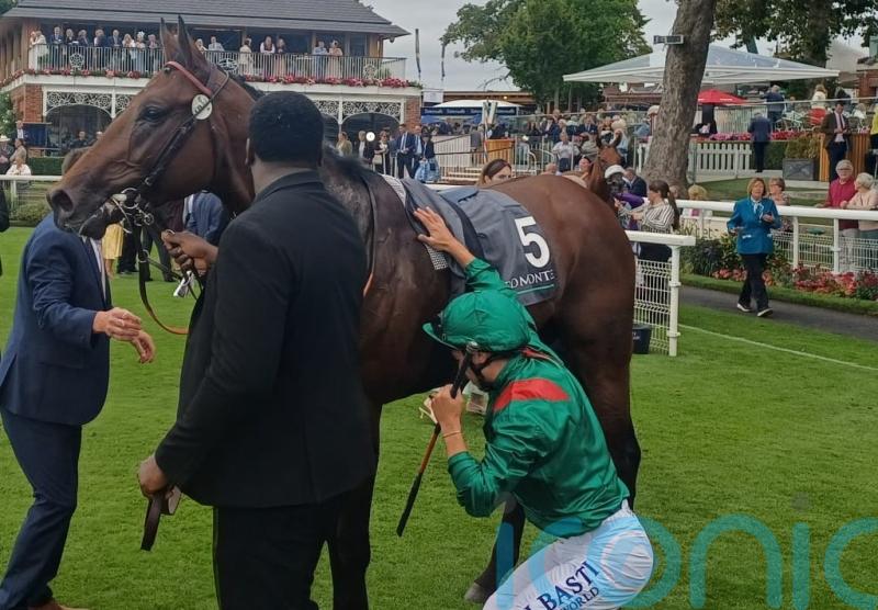 Arc hopes very much alive for back-to-form Daryz