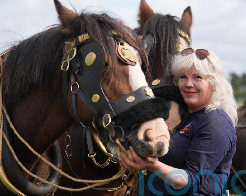 Presidential candidates among thousands at Ploughing Championships