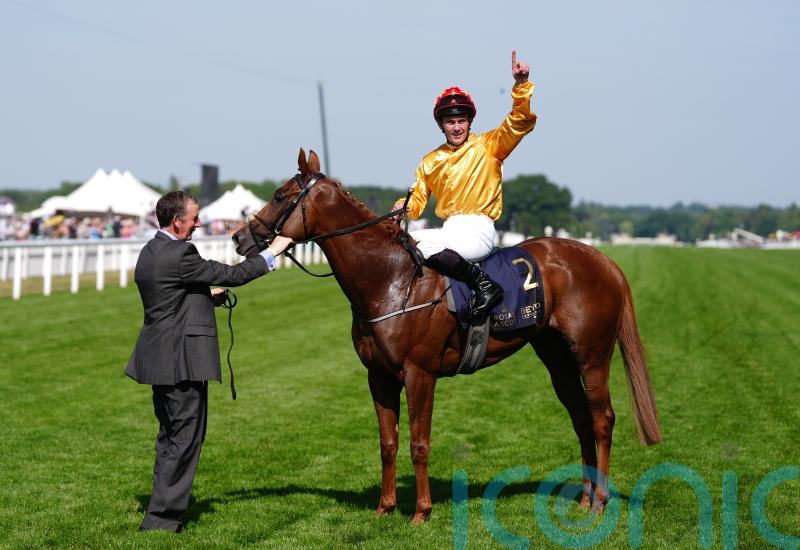 Breeders&rsquo; Cup enters the equation for Cercene