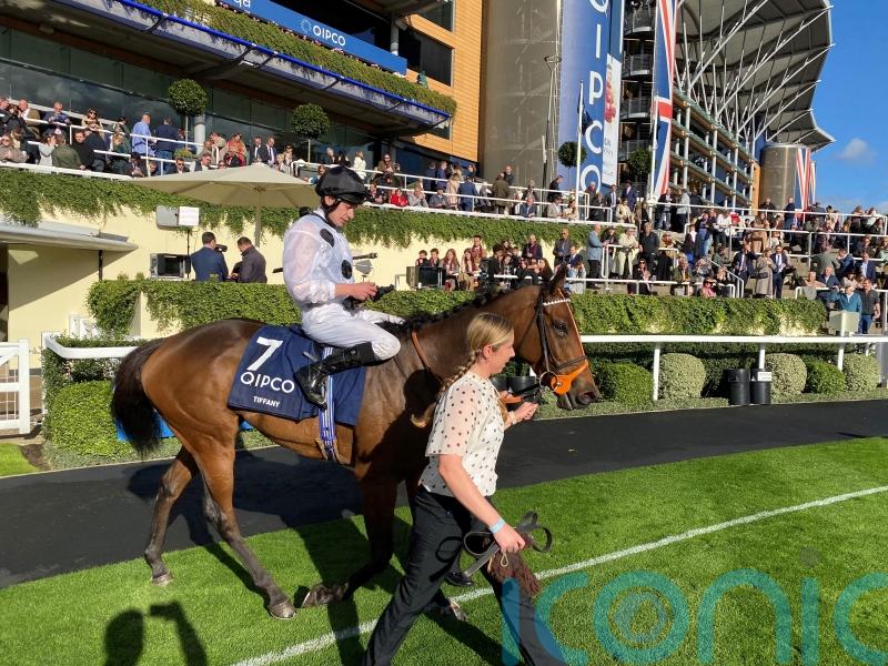 Sir Mark Prescott taking familiar German route with Tiffany