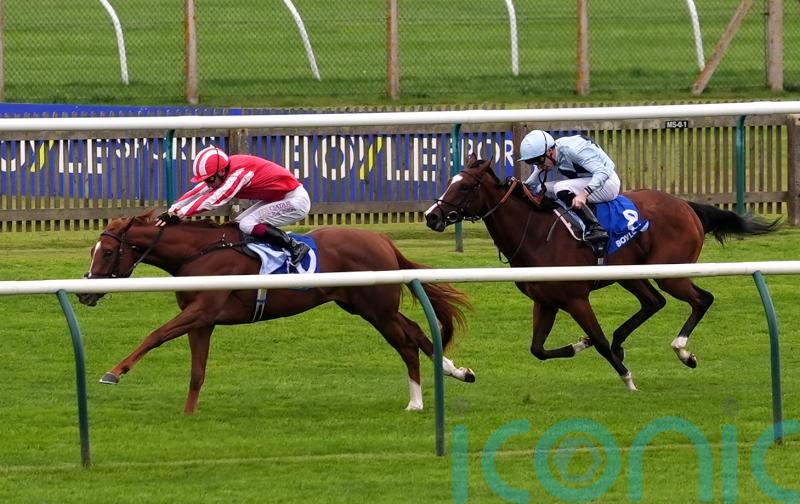 Zanthos back in business with all-the-way Rockfel win