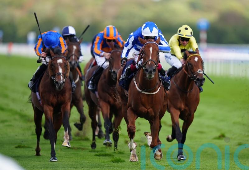 Cornwallis an option for Revival Power