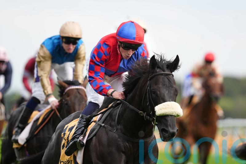 Champions Day date the first choice for Sprint Cup victor Big Mojo