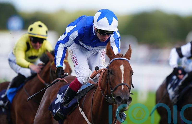 Revival Power and Brussels all set for Cornwallis cracker