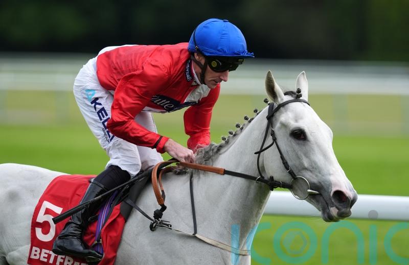 O&rsquo;Meara hoping Estrange can make Ascot mark