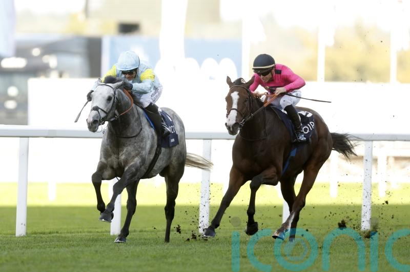 Facteur Cheval must overcome the odds to make it third time lucky in the QEII